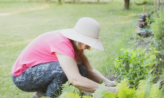 Décoration de jardin : les conseils de nos experts !